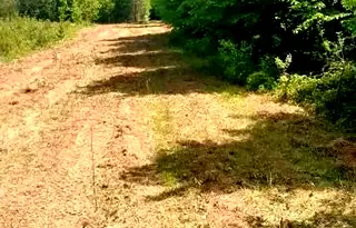 Парцел в Монтана, с. Спанчевци