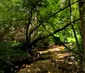 Снимка 3 — Парцел в Пазарджик, с. Церово
