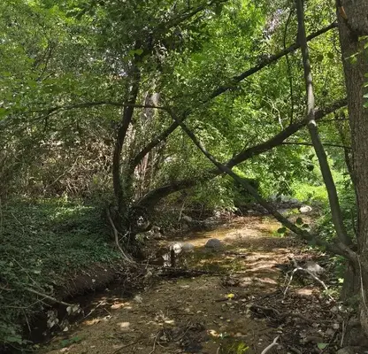 Photo 3 — Plot in Oblast Pazardjik, Cerovo