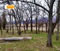 Снимка 3 — Парцел в Пазарджик, с. Лозен