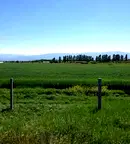 Парцел в Пазарджик, с. Сарая