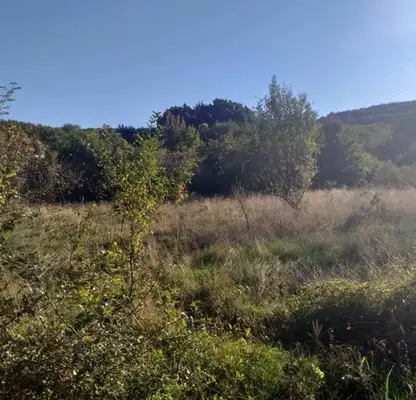 Photo 5 — Plot in Oblast Pernik, Bosnek