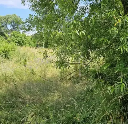 Photo 2 — Plot in Oblast Pernik, Kladnica