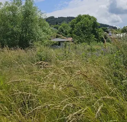 Photo 3 — Plot in Oblast Pernik, Kladnica