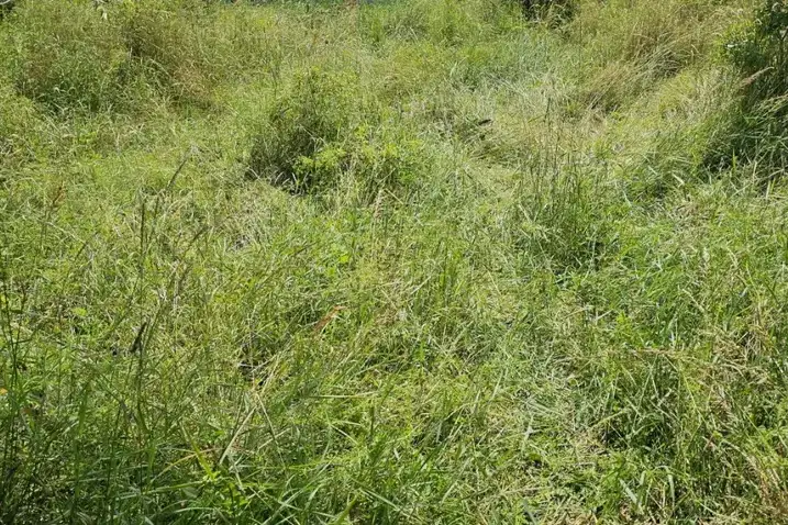 Plot in Oblast Pernik, Kladnica
