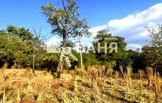 Парцел в Пловдив, Карлово