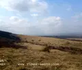 Снимка 3 — Парцел в Пловдив, с. Белащица