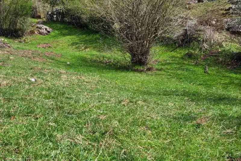 Plot in Oblast Plovdiv, Belica