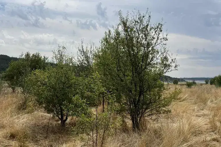 Парцел в Пловдив, с. Беловица