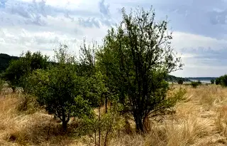 Парцел в Пловдив, с. Беловица