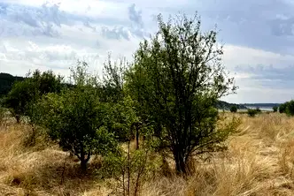 Парцел в Пловдив, с. Беловица
