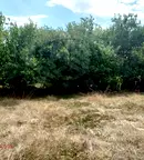 Парцел в Пловдив, с. Царацово