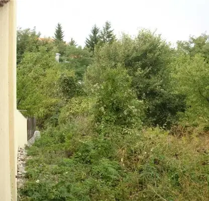 Photo 3 — Plot in Oblast Plovdiv, Gylybovo