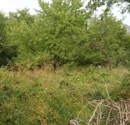 Photo 4 — Plot in Oblast Plovdiv, Gylybovo