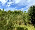 Снимка 5 — Парцел в Пловдив, с. Красново