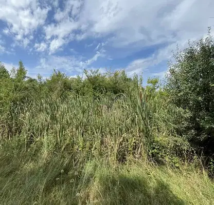 Photo 5 — Plot in Oblast Plovdiv, Krasnovo