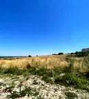Парцел в Пловдив, с. Марково