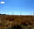 Снимка 2 — Парцел в Русе, Сливо поле