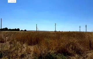 Парцел в Русе, Сливо поле