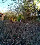 Парцел в Русе, с. Николово