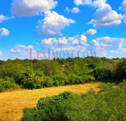 Photo 2 — Plot in Oblast Ruse, Shtryklevo