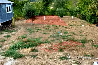 Парцел в Шумен, с. Лозево