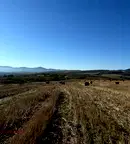 Парцел в София, Божурище