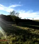 Парцел в София, Божурище