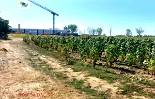 Парцел в София, Елин Пелин