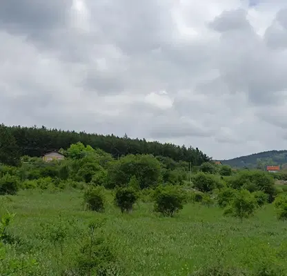 Снимка 4 — Парцел в София, Костинброд