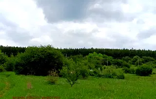 Парцел в София, Костинброд