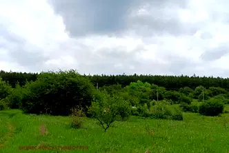 Парцел в София, Костинброд