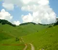Снимка 4 — Парцел в София, Своге