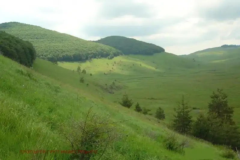 Парцел в София, Своге