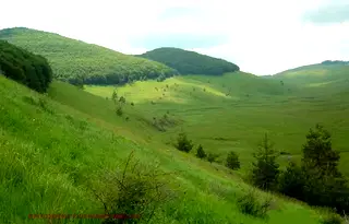Парцел в София, Своге