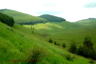 Парцел в София, Своге
