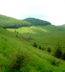 Парцел в София, Своге