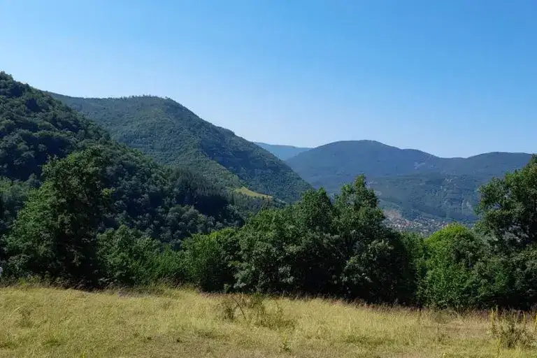 Парцел в София, с. Бов
