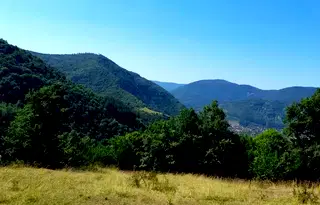 Парцел в София, с. Бов