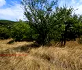 Снимка 4 — Парцел в София, с. Горна Василица