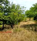 Парцел в София, с. Горна Василица