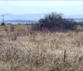 Снимка 5 — Парцел в София, с. Нови хан