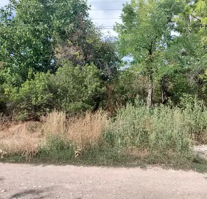 Photo 5 — Plot in Sofia, Opicvet