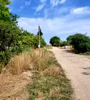 Парцел в София, с. Опицвет