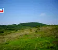 Снимка 3 — Парцел в София, с. Пожарево