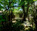 Снимка 3 — Парцел в Стара Загора, с. Оряховица