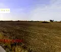 Снимка 4 — Парцел във Варна, с. Кичево