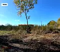 Снимка 3 — Парцел във Варна, с. Равна гора