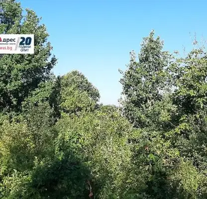 Photo 4 — Plot in Oblast Veliko Tyrnovo, Elena