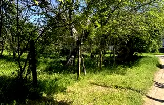 Парцел във Велико Търново, с. Козаревец